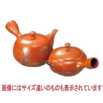 急須 G-1 1.3号 240cc