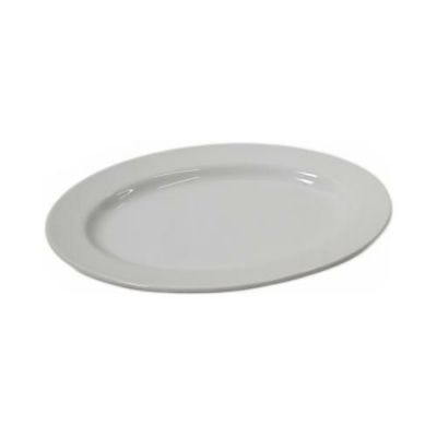 TB リムプラター 10吋/10入【送料無料】