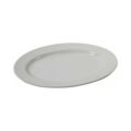 TB リムプラター 10吋/10入【送料無料】