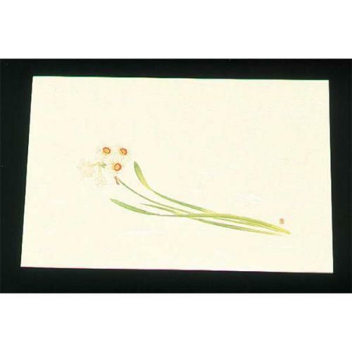 遠赤外線抗菌和紙 四季の花 尺三懐石まっとクリーム(100枚入) WSS-17 水仙 12月から1月