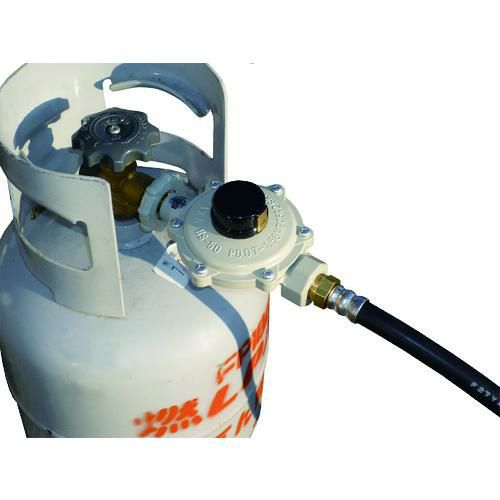 新ダイワ インバータ発電機（ガスエンジン）/IEG2201MPG