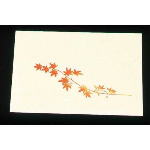 遠赤外線抗菌和紙 四季の花 尺三懐石まっとクリーム(100枚入) WSS-12 もみじ 9月から11月