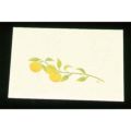尺三 懐石まっと クリーム(100枚入)WSS-15 ゆず