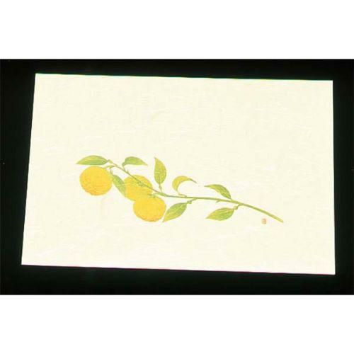 遠赤外線抗菌和紙 四季の花 尺三懐石まっとクリーム(100枚入) WSS-15 ゆず 10月から11月