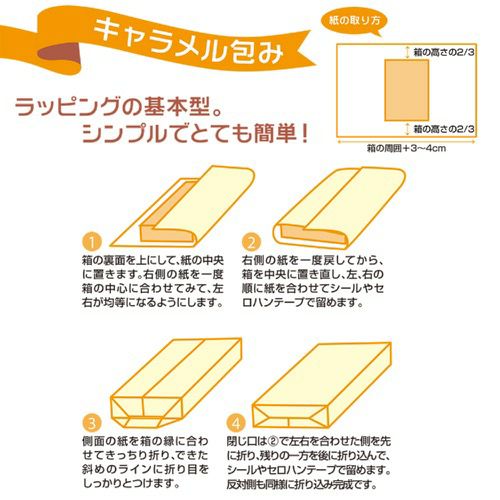 包装紙 かすり 半才判 49-1713