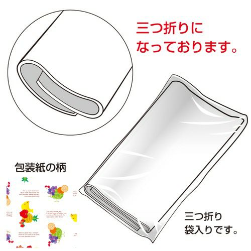 包装紙 リアルフルーツ 全判 49-2401