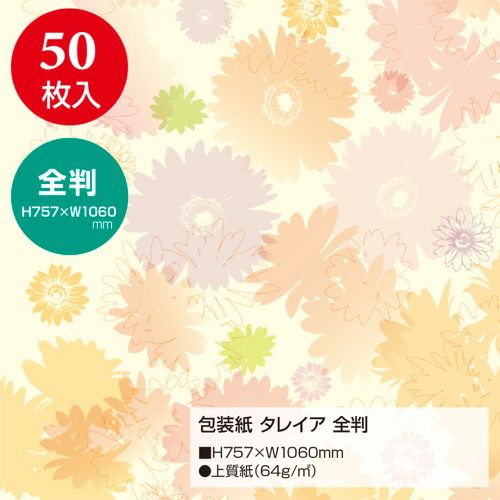 包装紙 タレイア 全判 49-2506