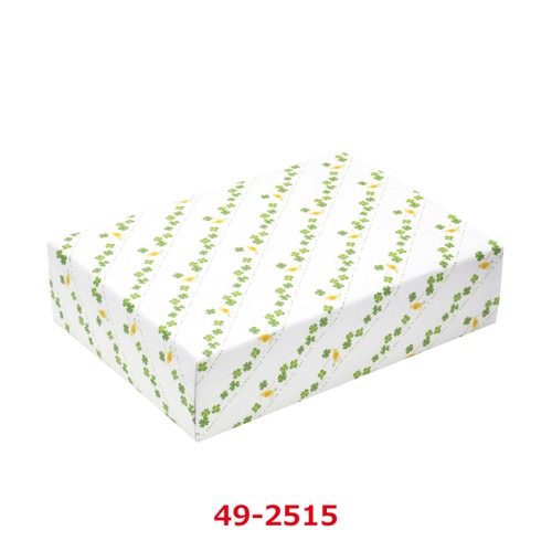 包装紙 ボンジュール 全判 49-2515