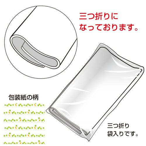 包装紙 ボンジュール 全判 49-2515