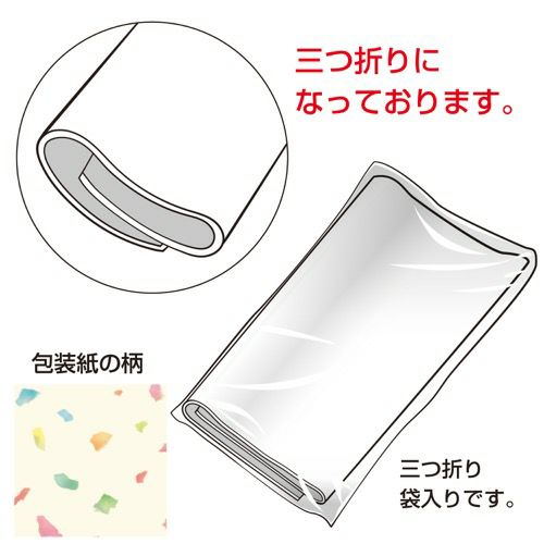 包装紙 カプリス 全判 49-2703