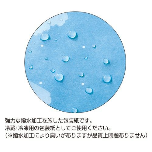 包装紙 通年用 クール ハトロン半才判 49-9130