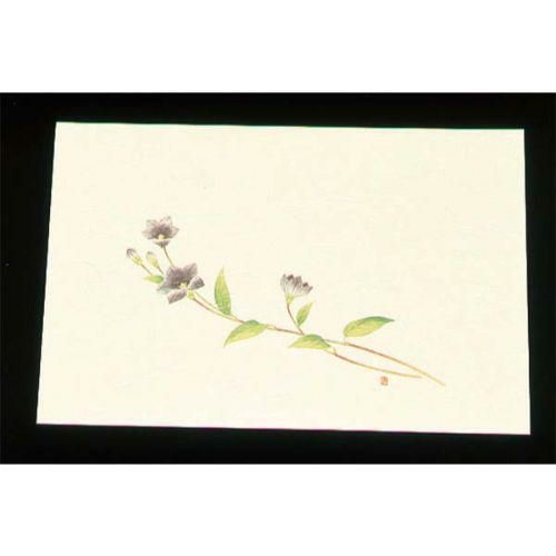 遠赤外線抗菌和紙 四季の花 尺三懐石まっとクリーム(100枚入) WSS-13 ききょう 9月から10月