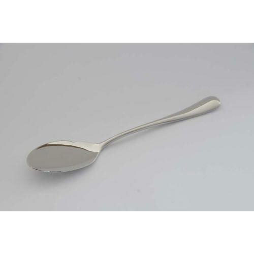 スプーン 【18-8 オークランド フィッシュソーススプーン】全長:180