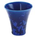 杯　ルリ