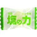 TRUSCO 【※軽税】塩飴 塩の力 100g袋入 青梅味 (1袋入) TNU100