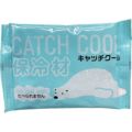 TRY 保冷剤 キャッチクール200g HC200