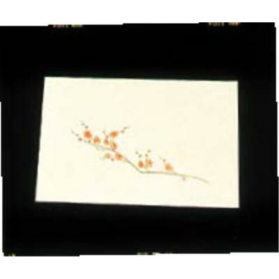 遠赤外線抗菌和紙 四季の花 尺三懐石まっとクリーム(100枚入) WSS-3 梅 1月から2月