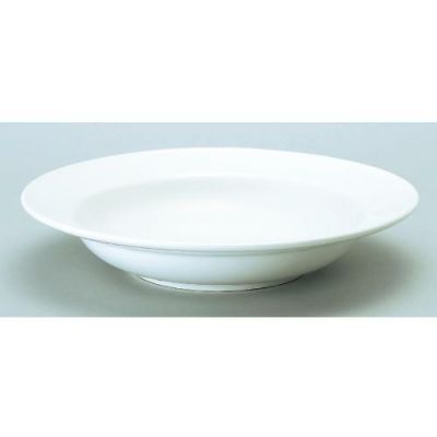 ダイヤセラム (強化) リム 9吋 深皿