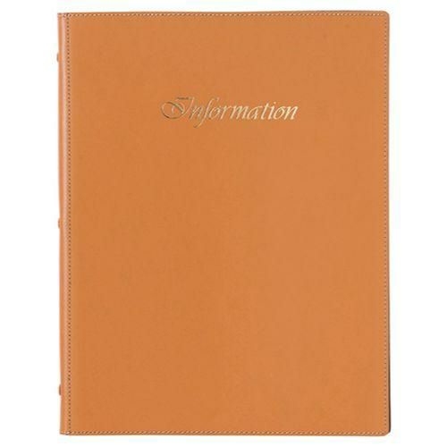 えいむ インフォメーション IF-241 キャメル