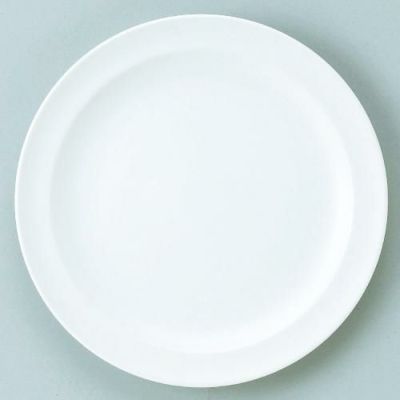 ダイヤセラム (強化) ハーフリム 9吋 大皿