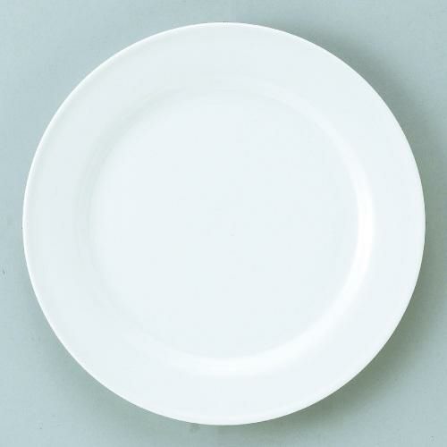 ダイヤセラム (強化) リム 10吋 大皿