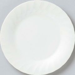 大皿 【ホワイトシェル 9吋大皿】 6-62-4 高さ23mm×直径:232  10枚入【業務用】【グループB】【プロ用】