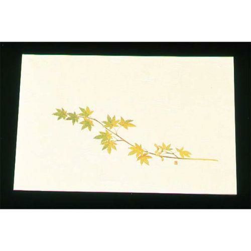遠赤外線抗菌和紙 四季の花 尺三懐石まっとクリーム(100枚入) WSS-9 グリーンもみじ 5月から8月