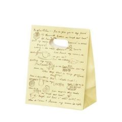 持ち手穴付紙袋 イーグリップ M レター XZK52022 (50枚入)