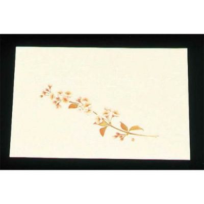 尺三 懐石まっと クリーム(100枚入)WSS-4 桜