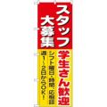 「スタッフ大募集学生さん歓迎」 のぼり【N】