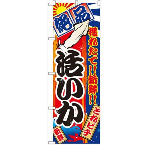 「活いか」 のぼり【N】