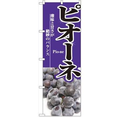 「ピオーネ」 のぼり【N】