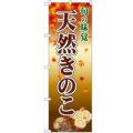 「天然きのこ」 のぼり【N】
