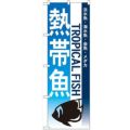 「熱帯魚」 のぼり【N】【受注生産品】