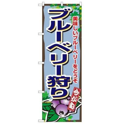 「ブルーベリー狩り」 のぼり【N】