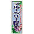 「ブルーベリー狩り」 のぼり【N】