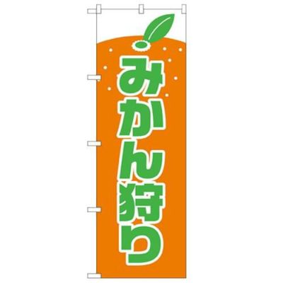 「みかん狩り」 のぼり【N】