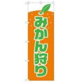 「みかん狩り」 のぼり【N】