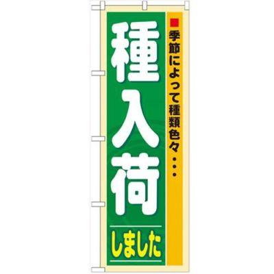 「種入荷」 のぼり【N】