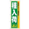 「種入荷」 のぼり【N】
