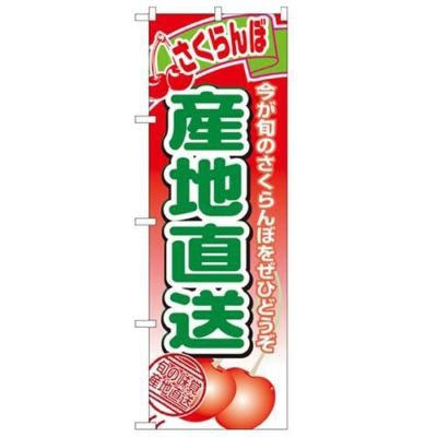「産地直送さくらんぼ」 のぼり【N】
