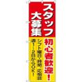 「スタッフ大募集初心者歓迎」 のぼり【N】