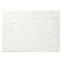 【白涼 28cmプレート】角皿 幅288mm×奥行206mm×高さ9mm【業務用】【グループB】【プロ用】【まとめ買い商品】