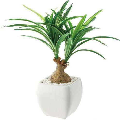 ポピー ノリナポット GLA-1226 H27cm・W20cm