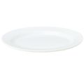 白翔 10"リムプラター【まとめ買い商品】