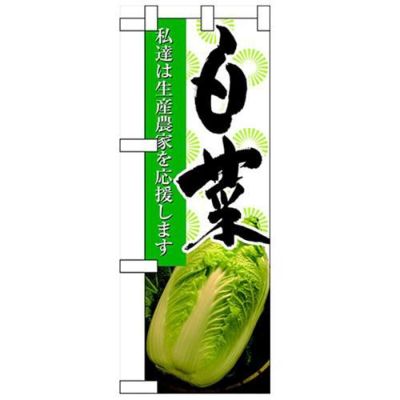 「白菜」  のぼり屋工房【N】【受注生産品】