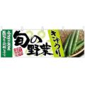 「きゅうり 旬の野菜」 のぼり屋工房【N】【受注生産品】