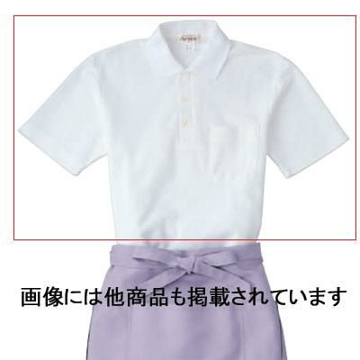 ポロシャツ 白