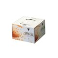 ケーキボックス チューブ型シフォンケーキ箱（20枚入）印刷付 DECOBOX/グループT