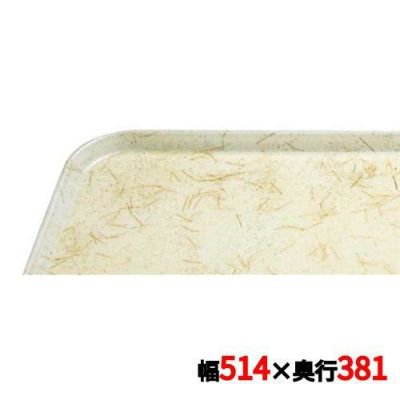 キャンブロ カムトレイ 1520（526）G/A/P/G CAMTRAYS